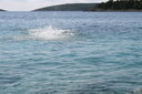 gal/cro 08/_thb_small-IMG_4936.JPG